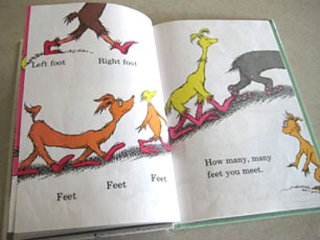 Inside The Foot Book