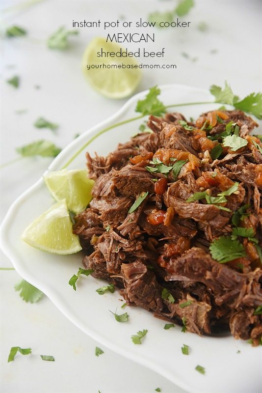 Mexican Shredded Beef