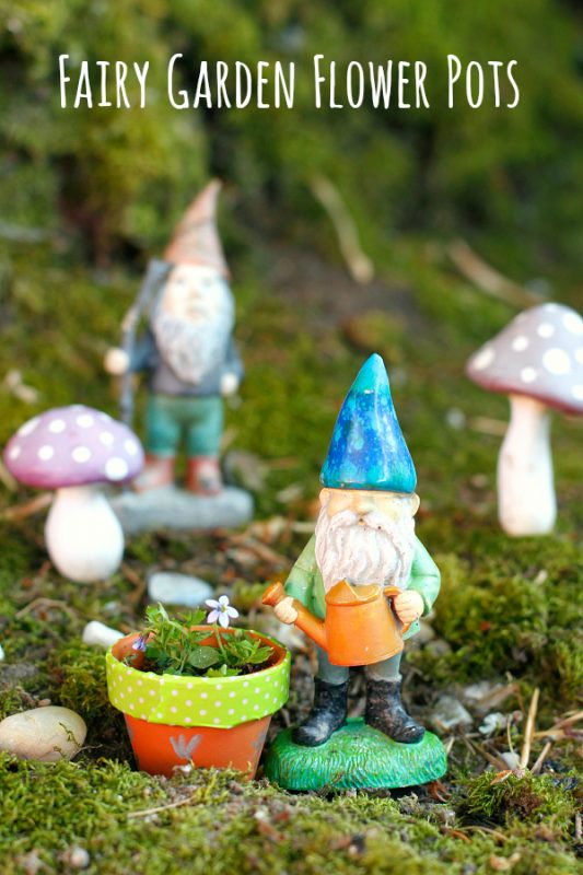 Fairy Garden Flower Pots