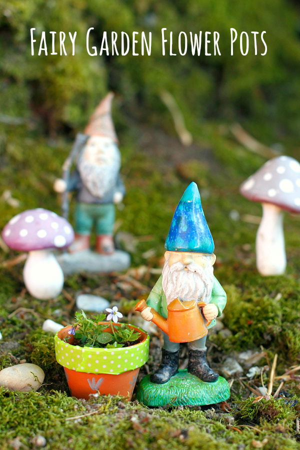 Make Gnome and Mini Fairy Garden Flower Pots