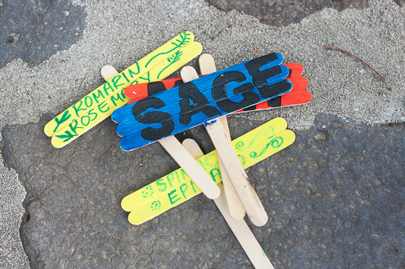Make Plant Markers from Popsicle Sticks by Francine Clouden at Make & Takes-16