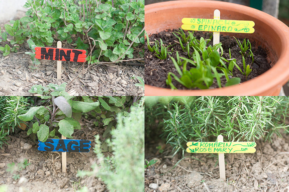 Plant Markers from Popsicle Craft Sticks