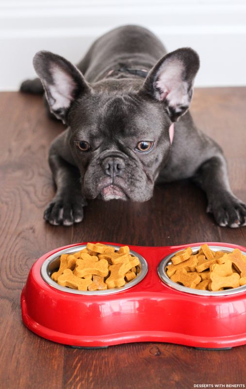 Healthy Homemade Peanut Butter Pumpkin Dog Treats