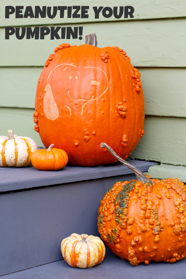 Peanutize Your Pumpkin