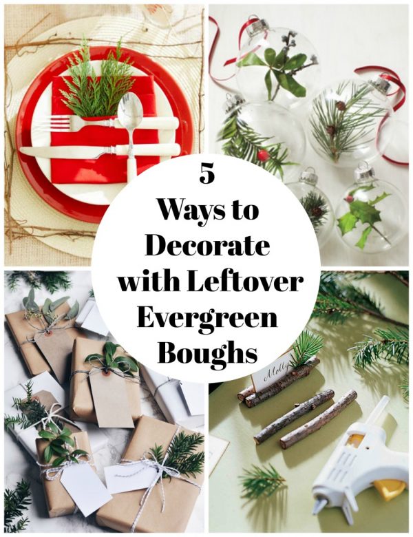 5 Ways to Decorate with Leftover Evergreen Boughs