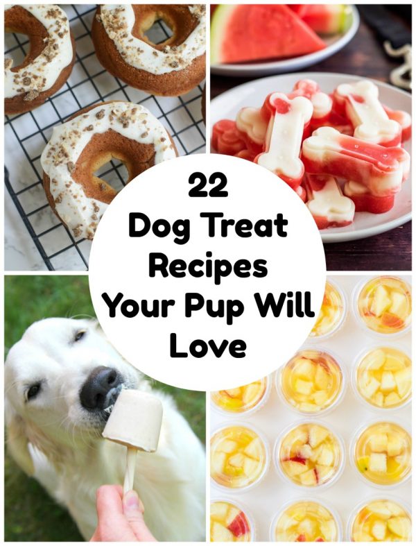 Homemade Dog Treats Your Pup Will Love