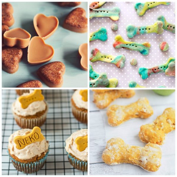 22 Dog Treat Recipes Your Pup Will Love