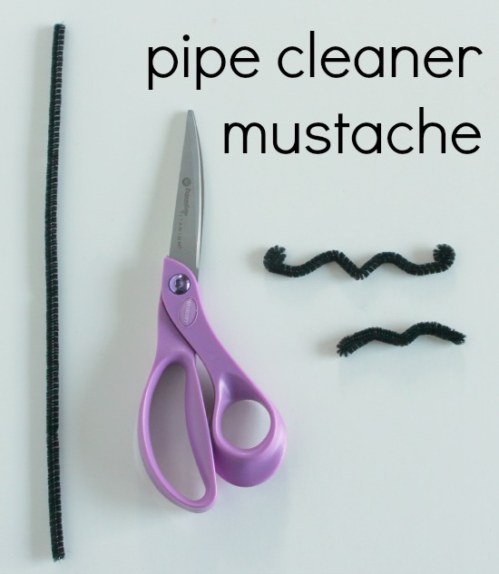 Pipe Cleaner Mustache 