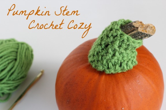 Pumpkin Stem Crochet Cozy