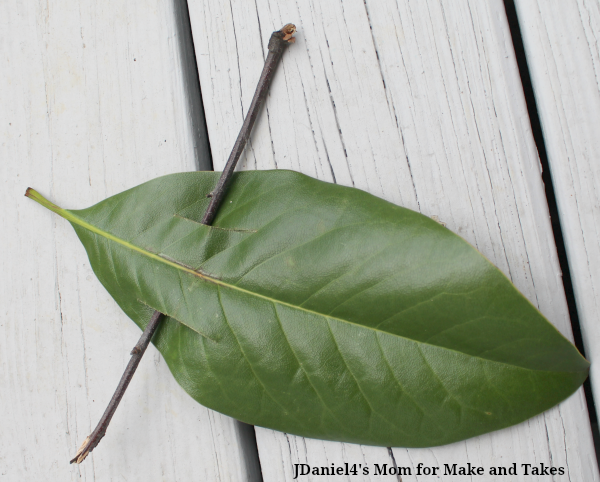 SCIENCE EXPERIMENTS FOR KIDS – EXPLORING RAMPS - Leaf Section