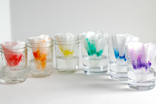 Science Craft with Coffee Filters and Rainbow Markers