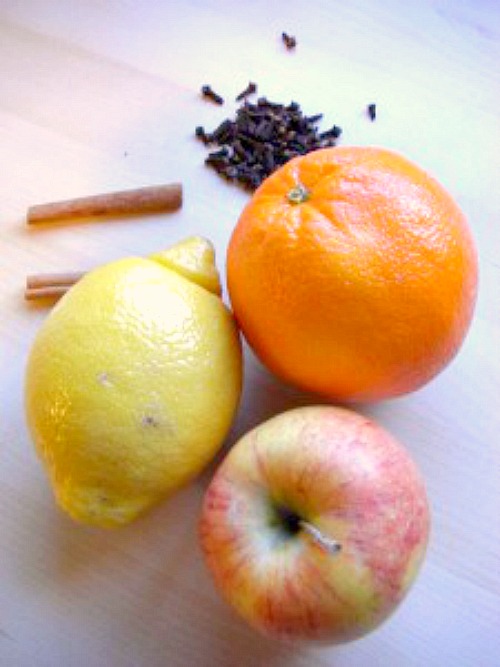 Simple Holiday Potpourri Recipe Ingredients