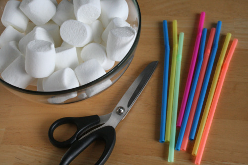 Marshmallow Straw Structure Supplies