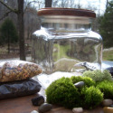 Terrariums