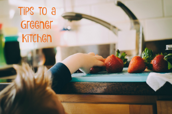Tips to a Greener Kitchen