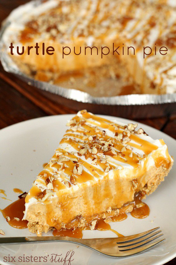 Turtle-Pumpkin-Pie