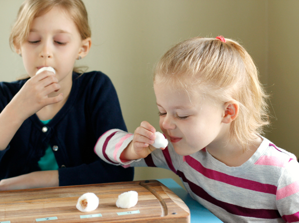 Using Our Sense of Smell with Kids