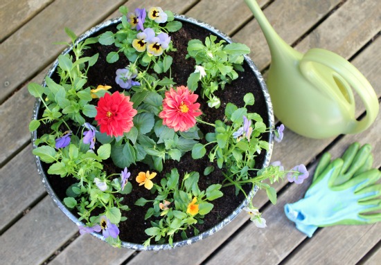 Watering Cans for Gardening