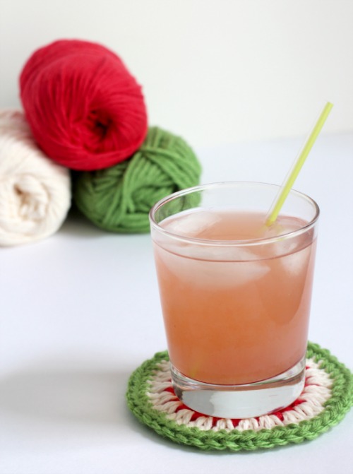 Watermelon Crochet Coaster makeandtakes.com