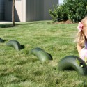 Zucchini Loch Ness Monster