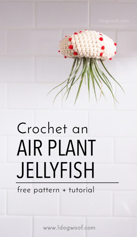 Crochet Air Plant Jellyfish Tutorial
