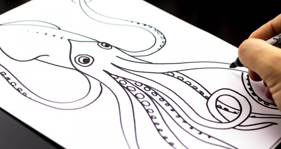 Art for Kids squid tutorial