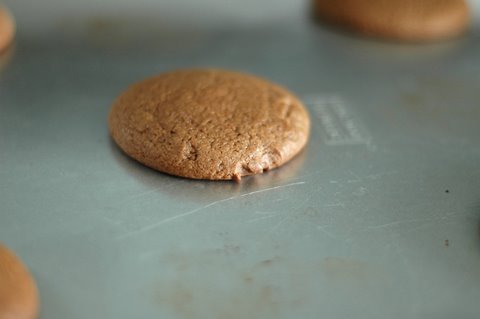baked rootbeer cookie