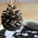 Pine Cone Bird Feeder