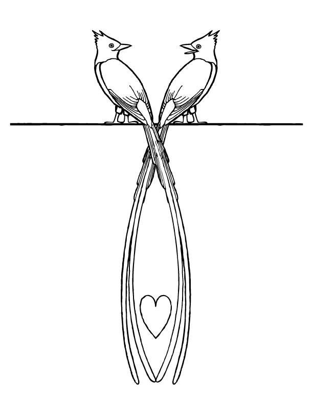 Love Birds Coloring Page