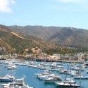 Catalina Island Vacation