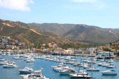 Catalina Island Vacation