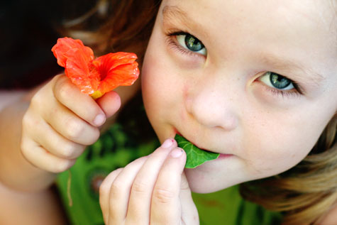 cate eating nasturtiums