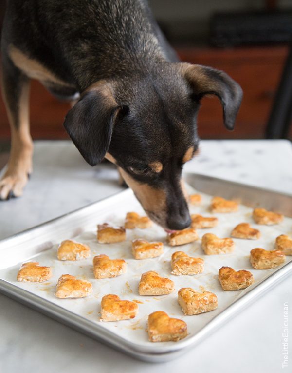 Homemade Sweet Potato Dog Treats