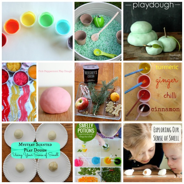 50 Crafts and Activities to Explore Our 5 Senses Make and Takes
