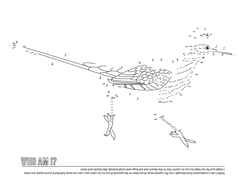Bird Connect the Dot Coloring Page