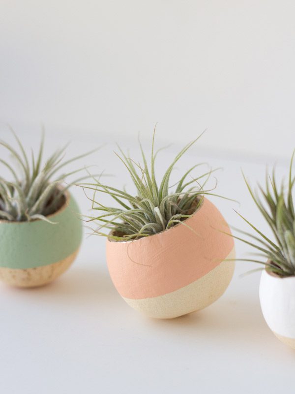 DIY Painted Air Plant Bell Cups