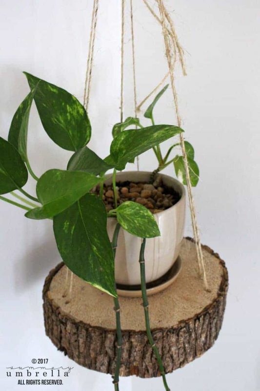 Wood Slice and Rope Hanging Planter