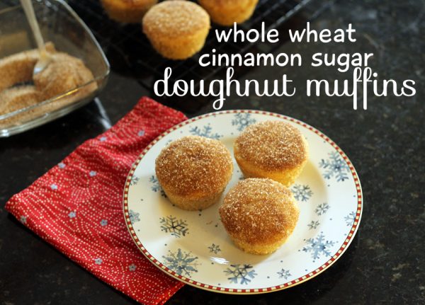 Whole-wheat cinnamon sugar doughnut muffins