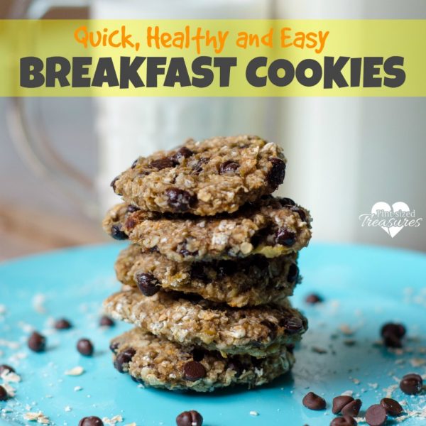 Three Ingredient Breakfast Cookies