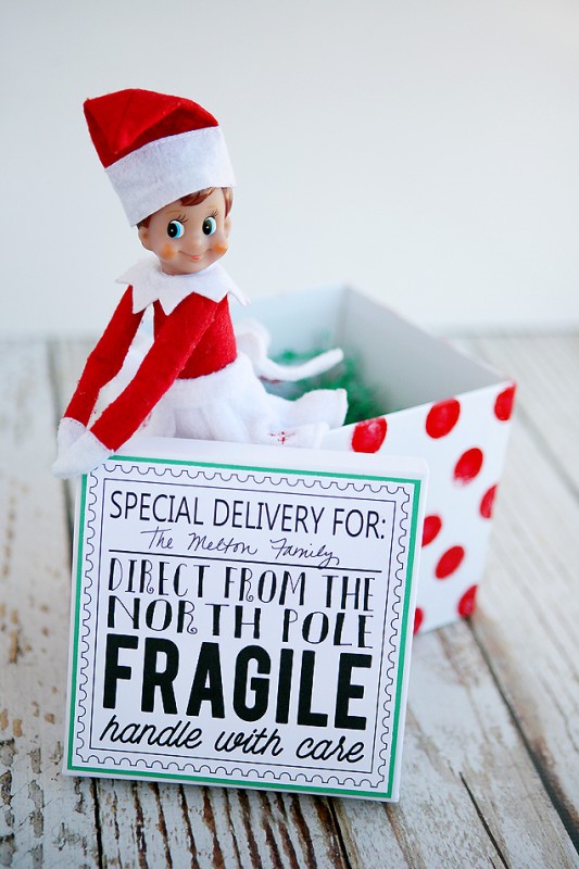 Elf on the Shelf Returns