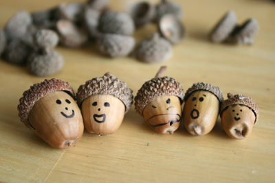 Family acorn magnets 067