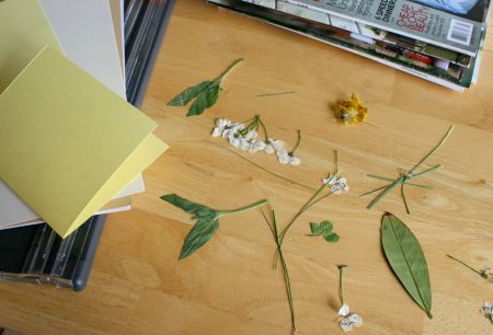 Flower Card Supplies