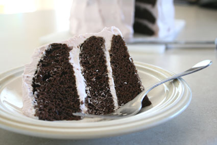 Frozen Yogurt Chocolate Cake