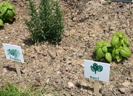 Herb Garden Markers