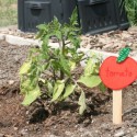 Craft Garden Marker