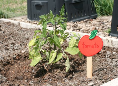 Craft Garden Marker