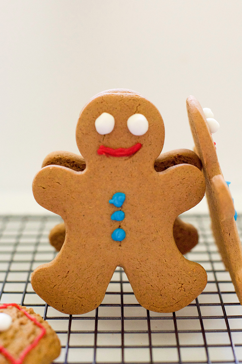 Bake Holiday Gingerbread Cookies This Season!