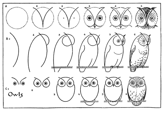 The Graphics Fairy owl drawing tutorial