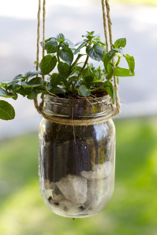 DIY Mason Jar Hanging Herb Planter