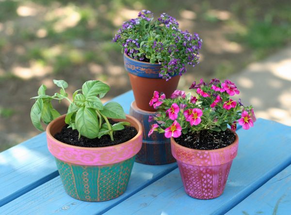 Airbrushed lacy flower pot gifts